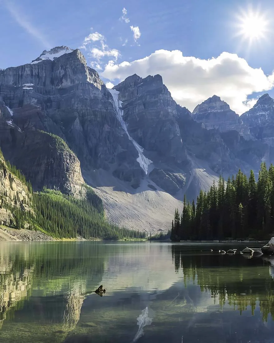 magnatura header mountains and forest square