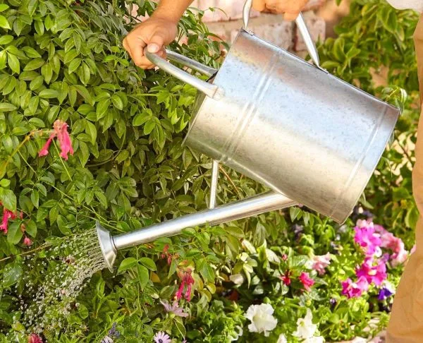 System for Magnetizing Water in Garden Watering Cans (10 to 50 l) - Image 2